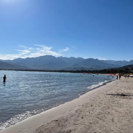 Calvi T2 Climatise, Wifi, Centre-Ville, A Proximite Plage, Commerces, Taxi & Gare, Vue Plage & Montagne Экстерьер фото