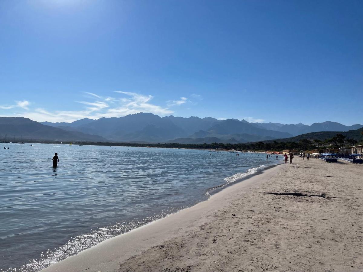 Calvi T2 Climatise, Wifi, Centre-Ville, A Proximite Plage, Commerces, Taxi & Gare, Vue Plage & Montagne Экстерьер фото